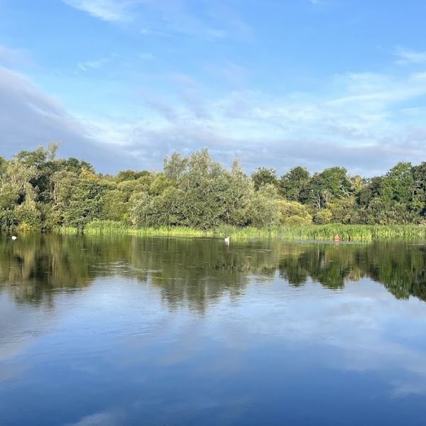 Trees reflected in the still river